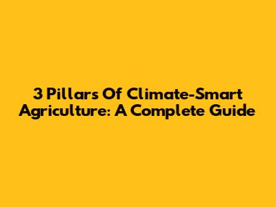 3 Pillars Of Climate-Smart Agriculture: A Complete Guide