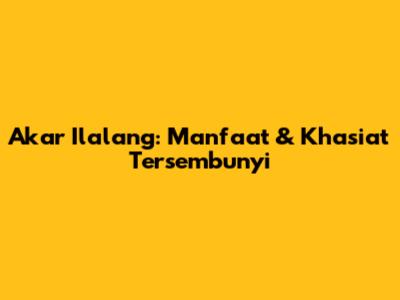 Akar Ilalang: Manfaat & Khasiat Tersembunyi