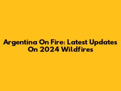 Argentina On Fire: Latest Updates On 2024 Wildfires
