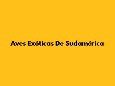 Aves Exóticas De Sudamérica