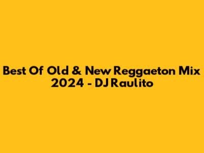 Best Of Old & New Reggaeton Mix 2024 - DJ Raulito