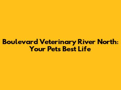 Boulevard Veterinary River North: Your Pet's Best Life