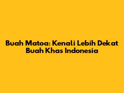Buah Matoa: Kenali Lebih Dekat Buah Khas Indonesia