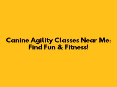 Canine Agility Classes Near Me: Find Fun & Fitness!