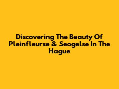 Discovering The Beauty Of Pleinfleurse & Seogelse In The Hague