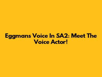 Eggman's Voice In SA2: Meet The Voice Actor!