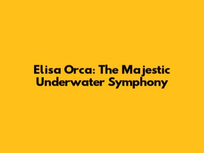 Elisa Orca: The Majestic Underwater Symphony