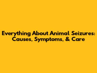 Everything About Animal Seizures: Causes, Symptoms, & Care