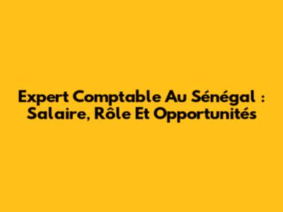 Expert Comptable Au Sénégal : Salaire, Rôle Et Opportunités