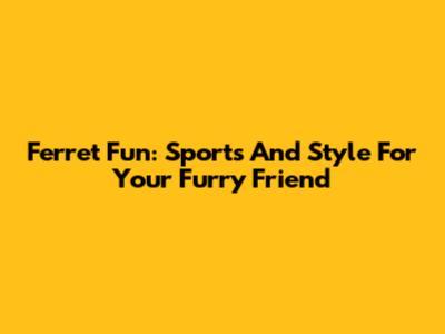 Ferret Fun: Sports And Style For Your Furry Friend