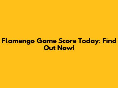 Flamengo Game Score Today: Find Out Now!