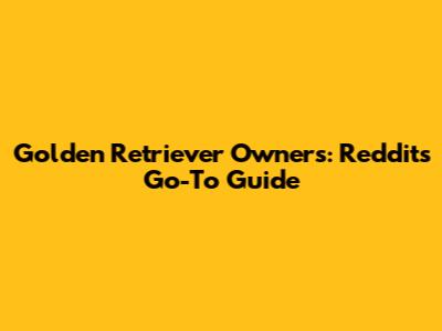 Golden Retriever Owners: Reddit's Go-To Guide