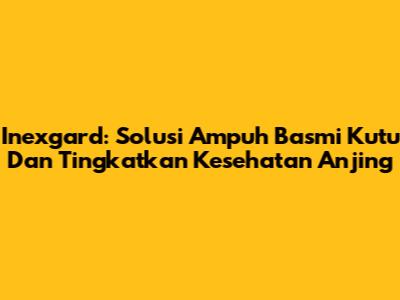 Inexgard: Solusi Ampuh Basmi Kutu Dan Tingkatkan Kesehatan Anjing