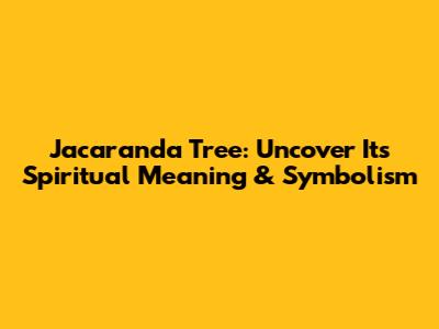 Jacaranda Tree: Uncover Its Spiritual Meaning & Symbolism