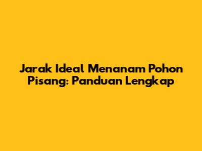 Jarak Ideal Menanam Pohon Pisang: Panduan Lengkap