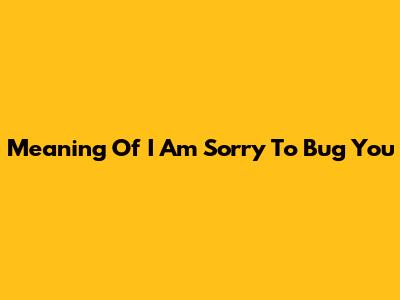 Meaning Of "I Am Sorry To Bug You"