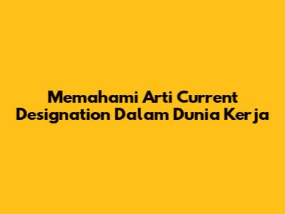 Memahami Arti Current Designation Dalam Dunia Kerja