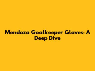 Mendoza Goalkeeper Gloves: A Deep Dive