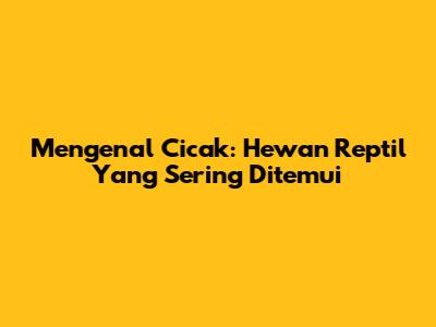 Mengenal Cicak: Hewan Reptil Yang Sering Ditemui