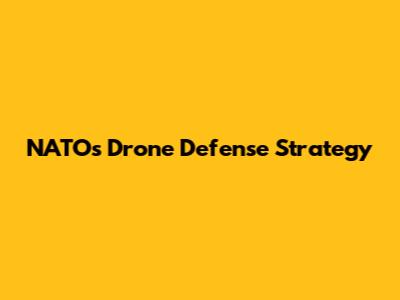 NATO's Drone Defense Strategy