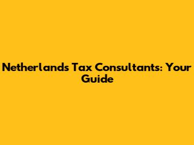 Netherlands Tax Consultants: Your Guide