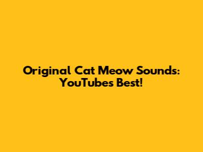 Original Cat Meow Sounds: YouTube's Best!