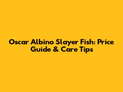 Oscar Albino Slayer Fish: Price Guide & Care Tips