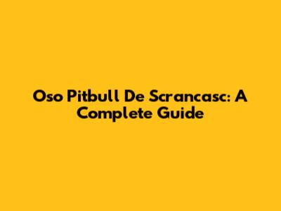 Oso Pitbull De Scrancasc: A Complete Guide