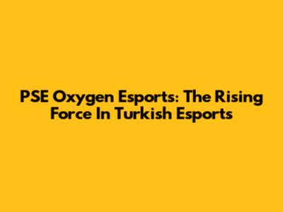 PSE Oxygen Esports: The Rising Force In Turkish Esports