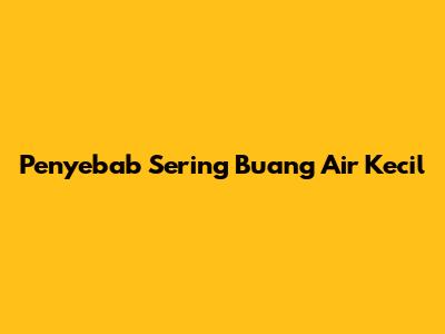 Penyebab Sering Buang Air Kecil
