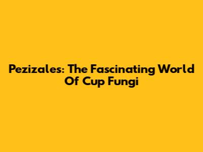 Pezizales: The Fascinating World Of Cup Fungi