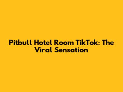 Pitbull Hotel Room TikTok: The Viral Sensation
