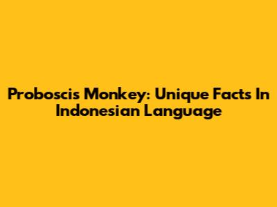 Proboscis Monkey: Unique Facts In Indonesian Language