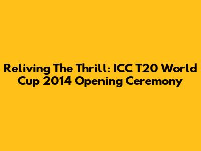 Reliving The Thrill: ICC T20 World Cup 2014 Opening Ceremony