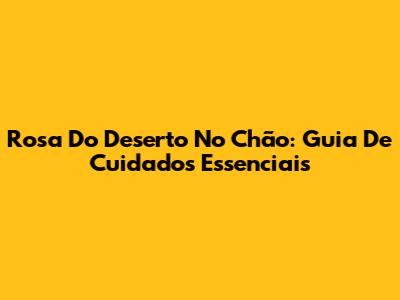 Rosa Do Deserto No Chão: Guia De Cuidados Essenciais