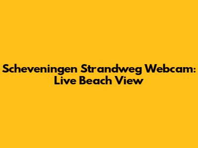Scheveningen Strandweg Webcam: Live Beach View