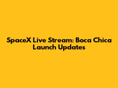 SpaceX Live Stream: Boca Chica Launch Updates