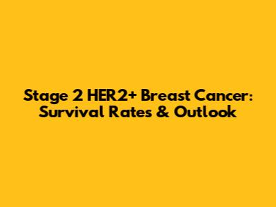 Stage 2 HER2+ Breast Cancer: Survival Rates & Outlook