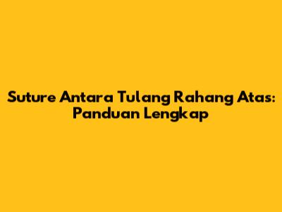 Suture Antara Tulang Rahang Atas: Panduan Lengkap