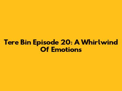 Tere Bin Episode 20: A Whirlwind Of Emotions