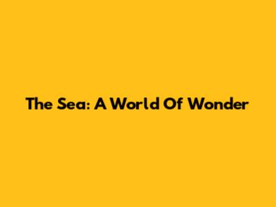 The Sea: A World Of Wonder