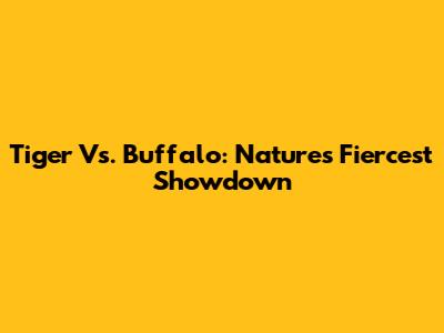 Tiger Vs. Buffalo: Nature's Fiercest Showdown
