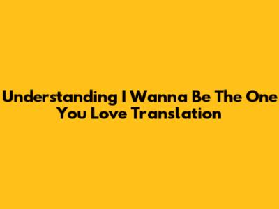 Understanding "I Wanna Be The One You Love" Translation