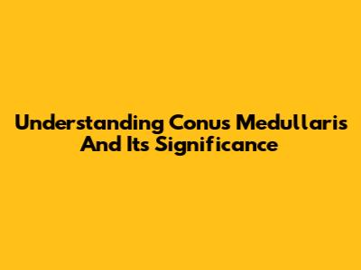 Understanding Conus Medullaris And Its Significance