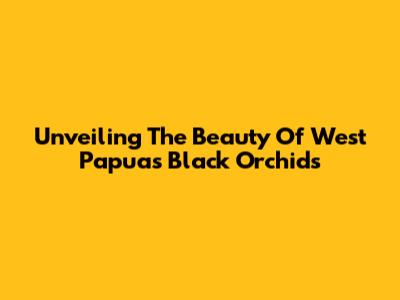 Unveiling The Beauty Of West Papua's Black Orchids