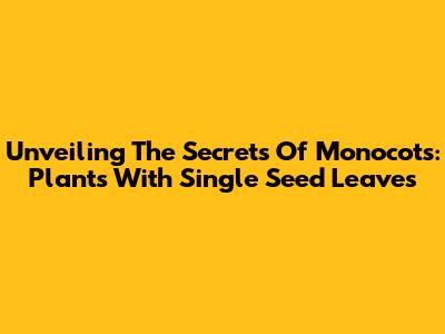 Unveiling The Secrets Of Monocots: Plants With Single Seed Leaves