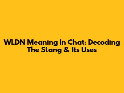 WLDN Meaning In Chat: Decoding The Slang & Its Uses