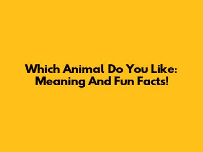Which Animal Do You Like: Meaning And Fun Facts!
