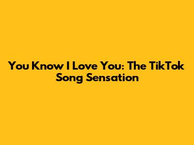 You Know I Love You: The TikTok Song Sensation